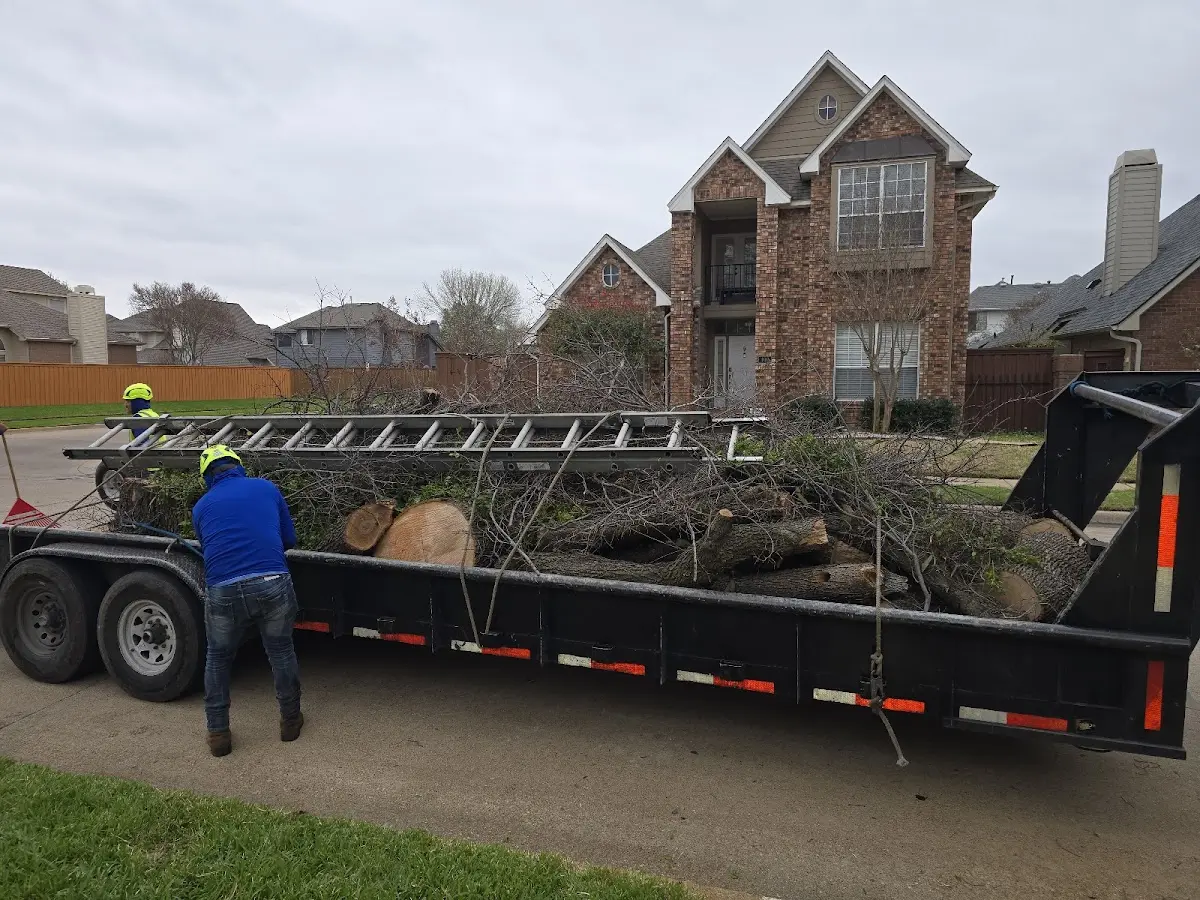 Expert Tree Removal with proper safety equipment in Providence